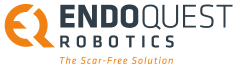 Endoquest