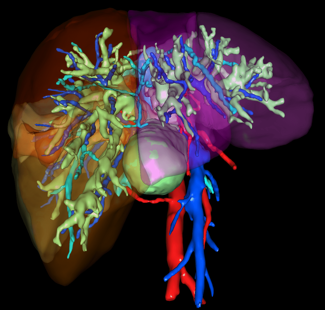 https://ircad-content.b-cdn.net/liver-Booth-01.png